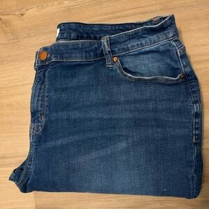 Lane Bryant boyfriend jean